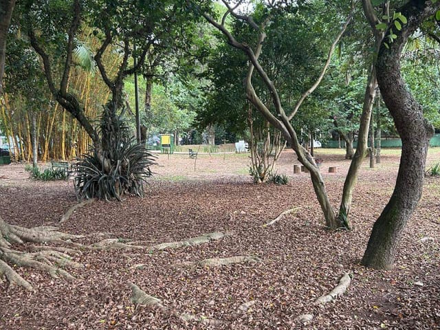 Terreno com 408m², à venda, no bairro Chácara Monte Alegre em São Paulo