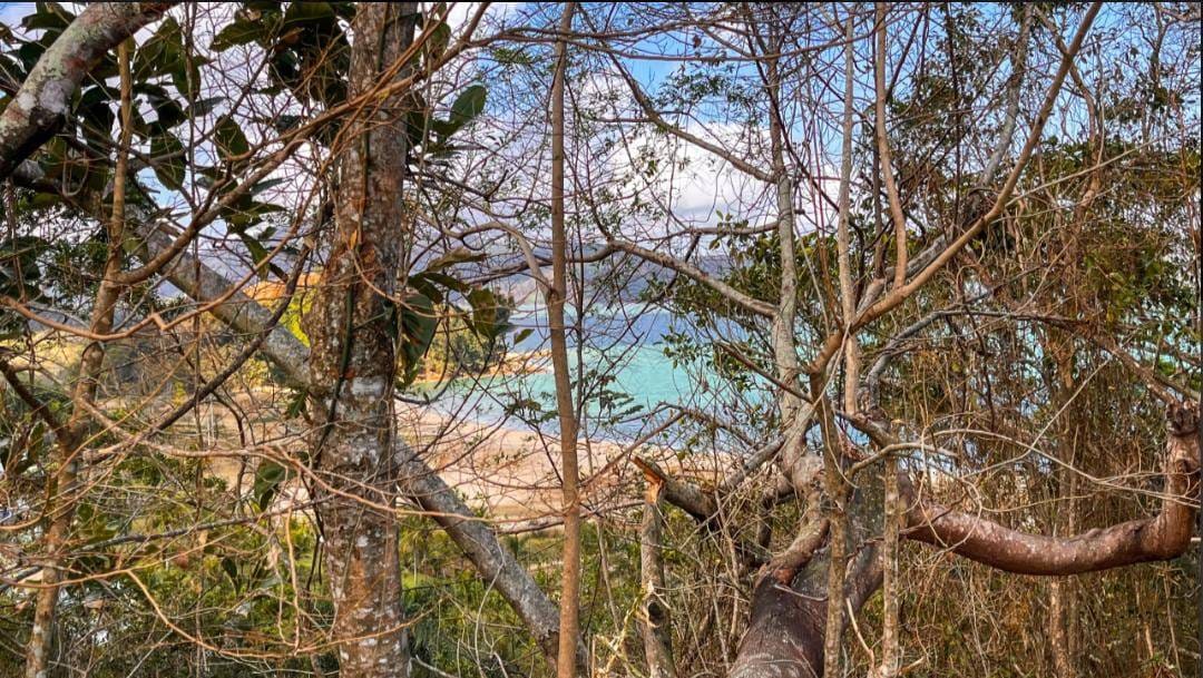 Terreno, 250 m² - Foto 5