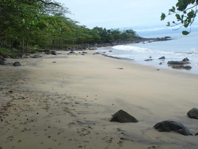Terreno com 2296m², à venda, no bairro Ponta das Canas em Ilhabela