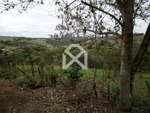Terreno com 3897m², à venda, no bairro Fazenda Velha em Pinhalzinho