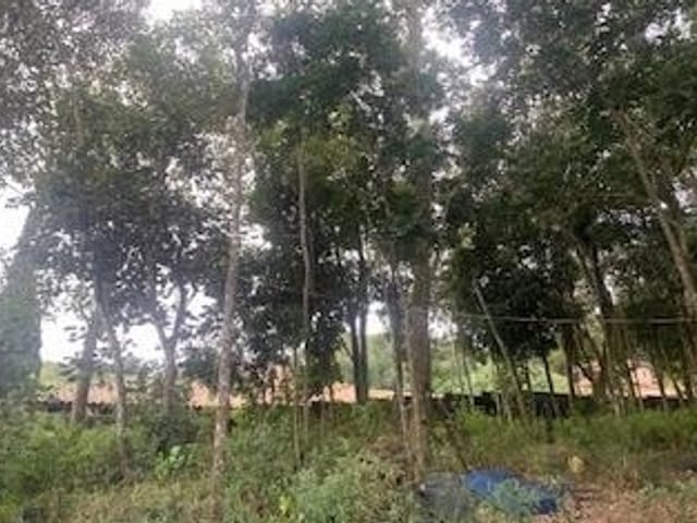 Terreno com 2217m², à venda, no bairro Paisagem Renoir em Cotia