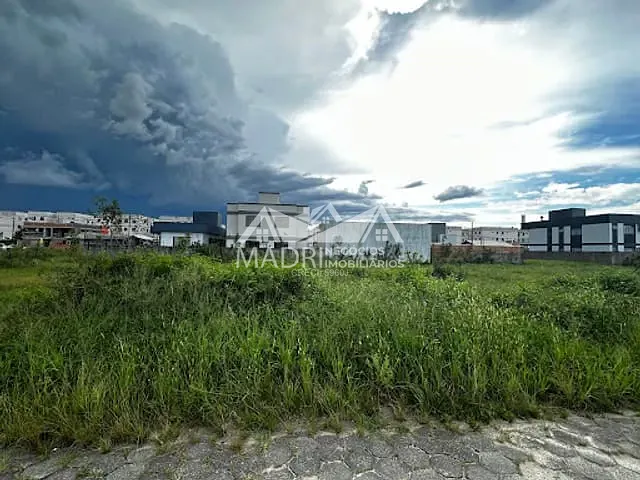 Terreno com 600m², à venda, no bairro Guarda do Cubatão em Palhoça