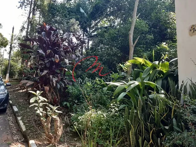 Terreno com 1000m², à venda, no bairro Algarve em Cotia