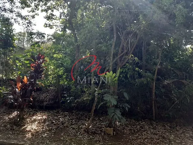 Terreno com 1000m², à venda, no bairro Algarve em Cotia