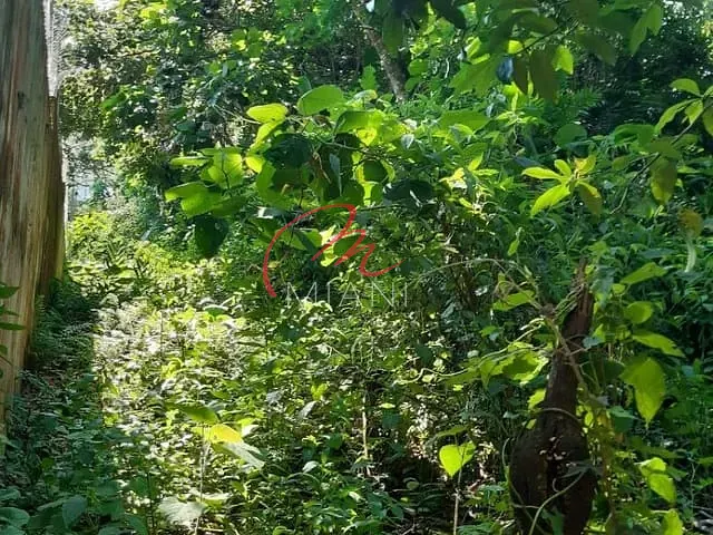 Terreno com 1000m², à venda, no bairro Algarve em Cotia