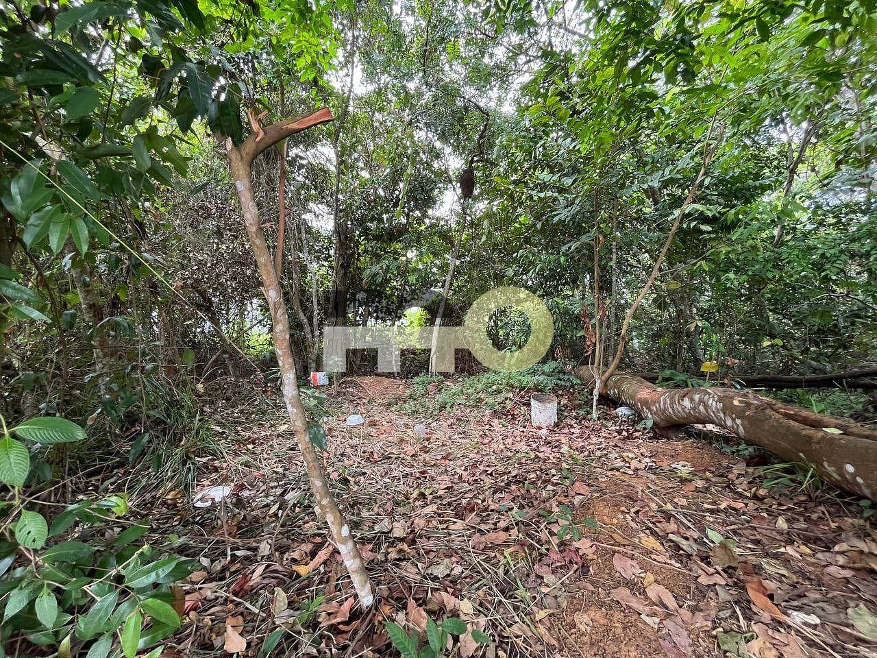 Terreno, 250 m² - Foto 23