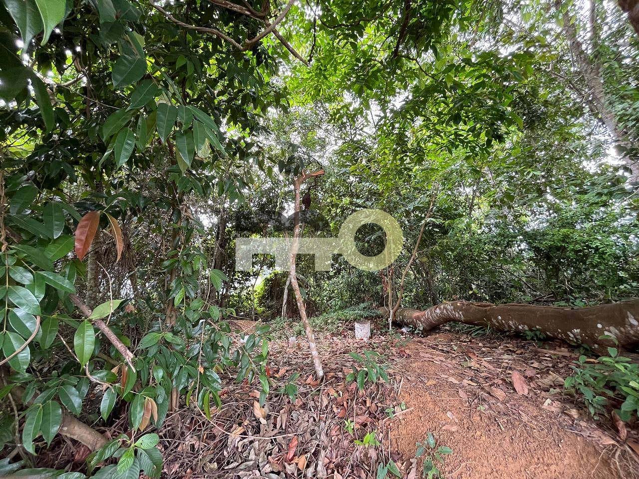 Terreno, 250 m² - Foto 22