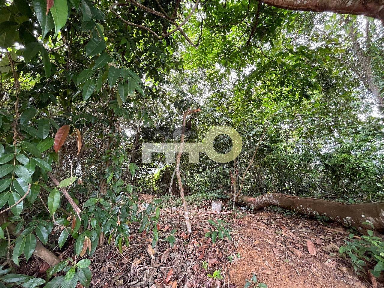 Terreno, 250 m² - Foto 21