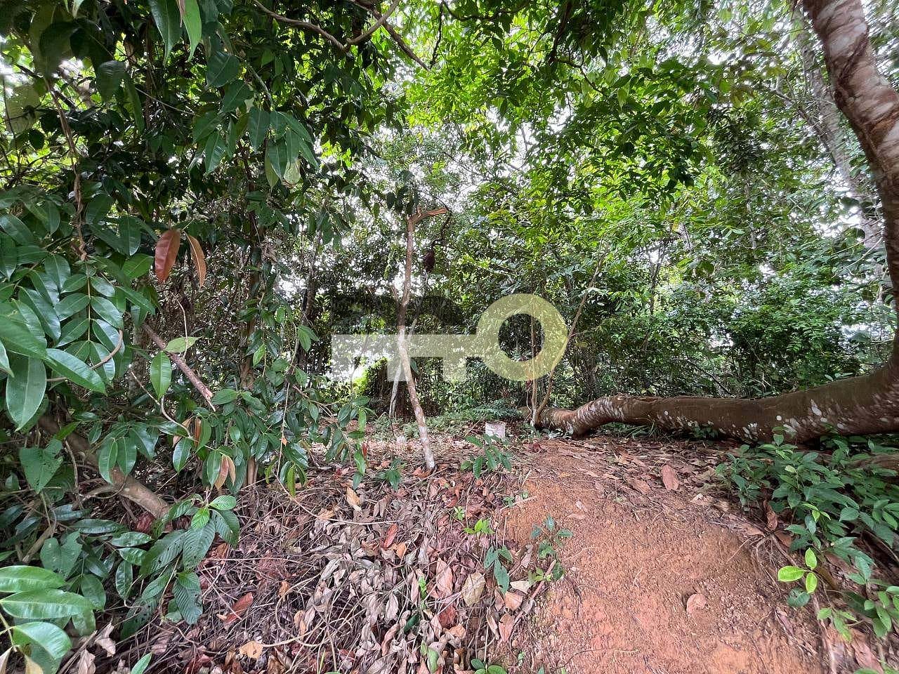 Terreno, 250 m² - Foto 20