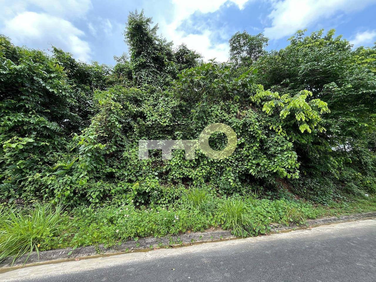 Terreno, 250 m² - Foto 19