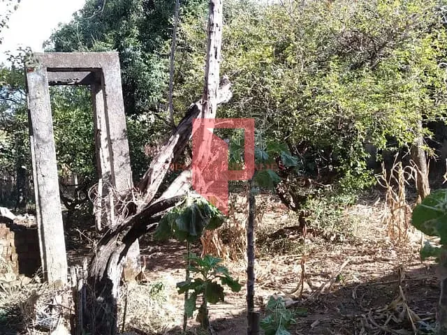 Terreno à venda, no bairro Novo Glória em Belo Horizonte