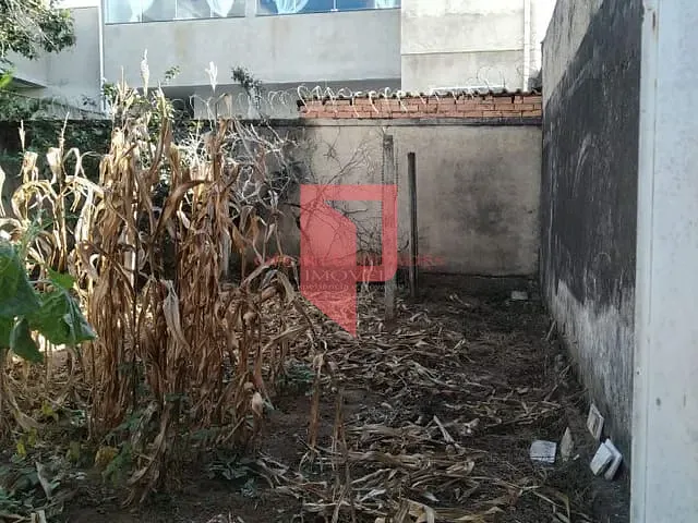 Terreno à venda, no bairro Novo Glória em Belo Horizonte