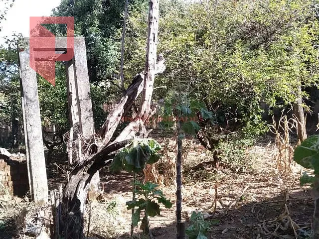 Terreno com 360m², à venda, no bairro Novo Glória em Belo Horizonte