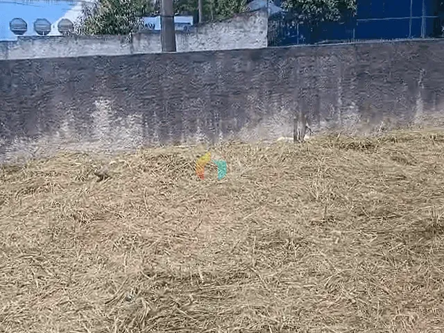 Terreno com 1319m², à venda, no bairro Centro em Itaboraí