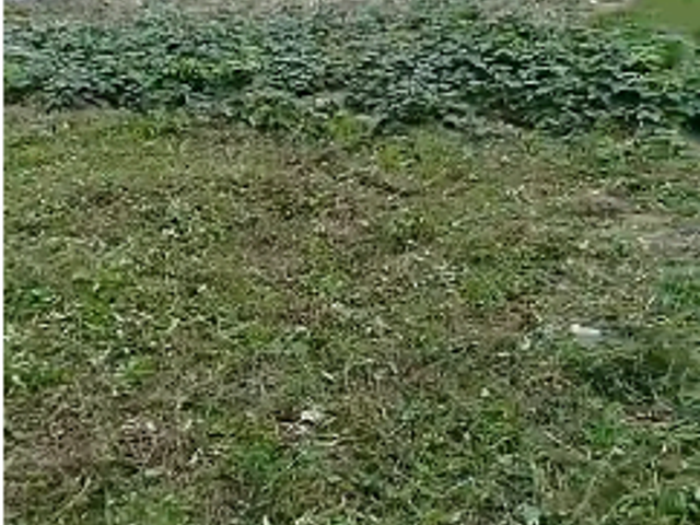 Terreno com 1295m², à venda, no bairro Recreio dos Bandeirantes em Rio de Janeiro