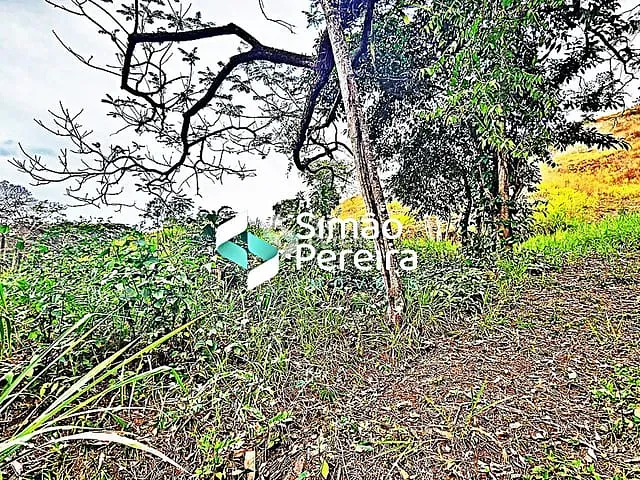 Terreno com 2500m², à venda, no bairro Balança em Simão Pereira