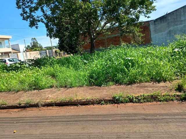 Terreno com 442m², à venda, no bairro Vila Fátima em Jataí