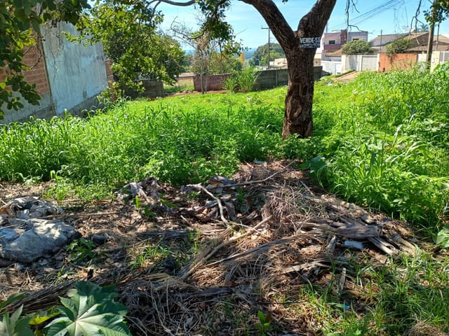 Terreno com 442m², à venda, no bairro Vila Fátima em Jataí