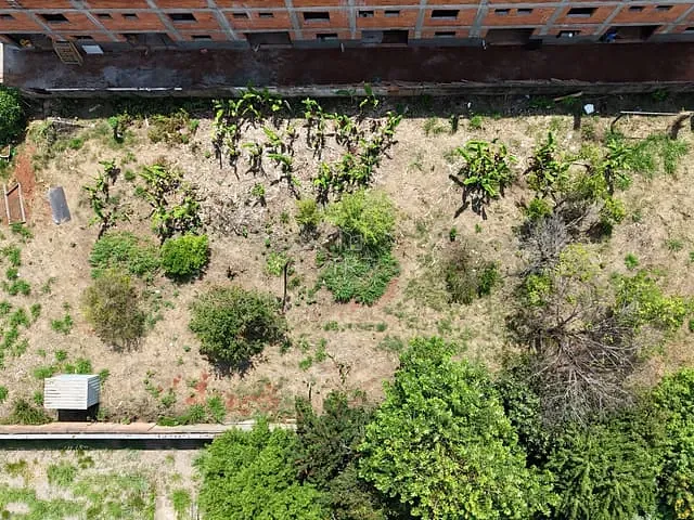 Terreno com 1000m², à venda, no bairro Chácara Primavera em Campinas