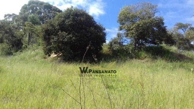 Terreno com 22300m², à venda, no bairro Jardim Brasília em São Roque