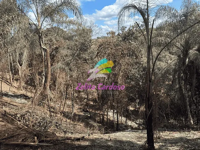 Terreno com 31000m², à venda, no bairro Franciscadriângela em Ribeirão das Neves