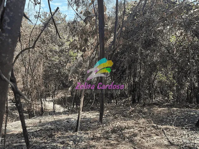 Terreno com 31000m², à venda, no bairro Franciscadriângela em Ribeirão das Neves