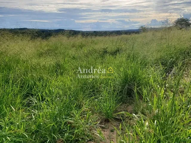Fazenda com 3060m² 5 quartos e 5 banheiros, à venda, no bairro PORTO ALEGRE DO NORTE em Porto Alegre do Norte