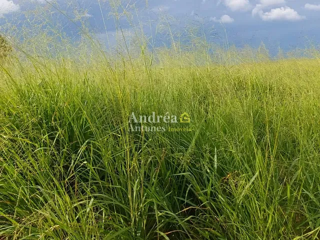 Fazenda com 3060m² 5 quartos e 5 banheiros, à venda, no bairro PORTO ALEGRE DO NORTE em Porto Alegre do Norte