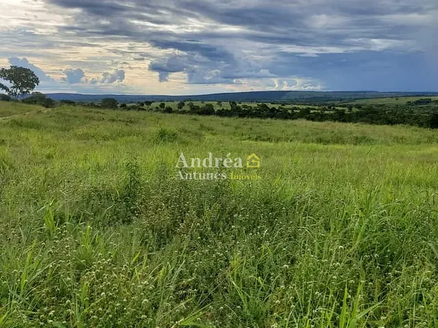 Fazenda com 3060m² 5 quartos e 5 banheiros, à venda, no bairro PORTO ALEGRE DO NORTE em Porto Alegre do Norte