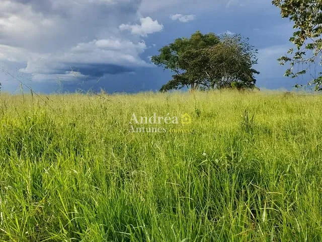 Fazenda com 3060m² 5 quartos e 5 banheiros, à venda, no bairro PORTO ALEGRE DO NORTE em Porto Alegre do Norte