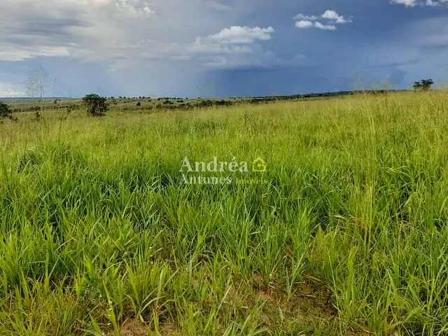Fazenda com 3060m² 5 quartos e 5 banheiros, à venda, no bairro PORTO ALEGRE DO NORTE em Porto Alegre do Norte