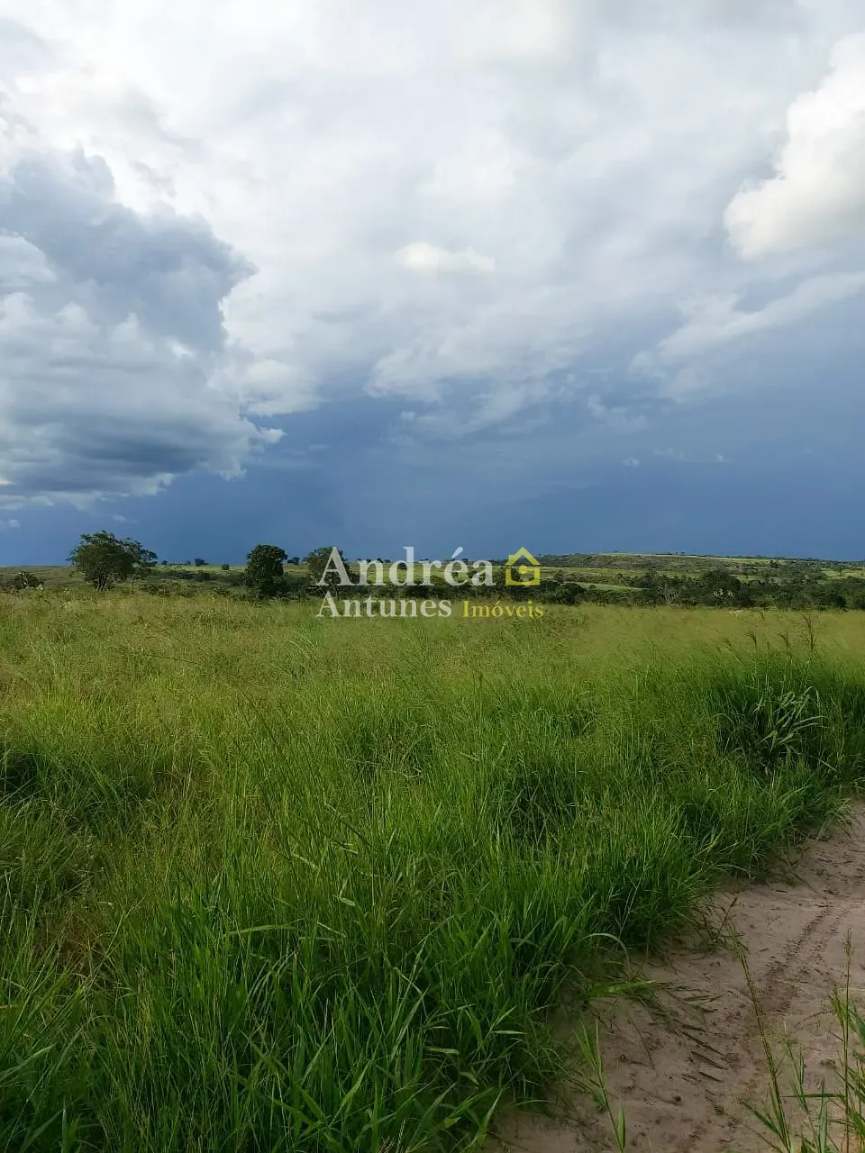 Fazenda, 3060 m² - Foto 27