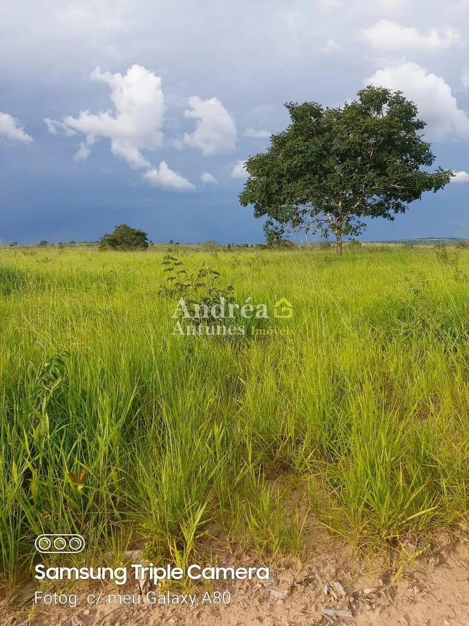 Fazenda, 3060 m² - Foto 8