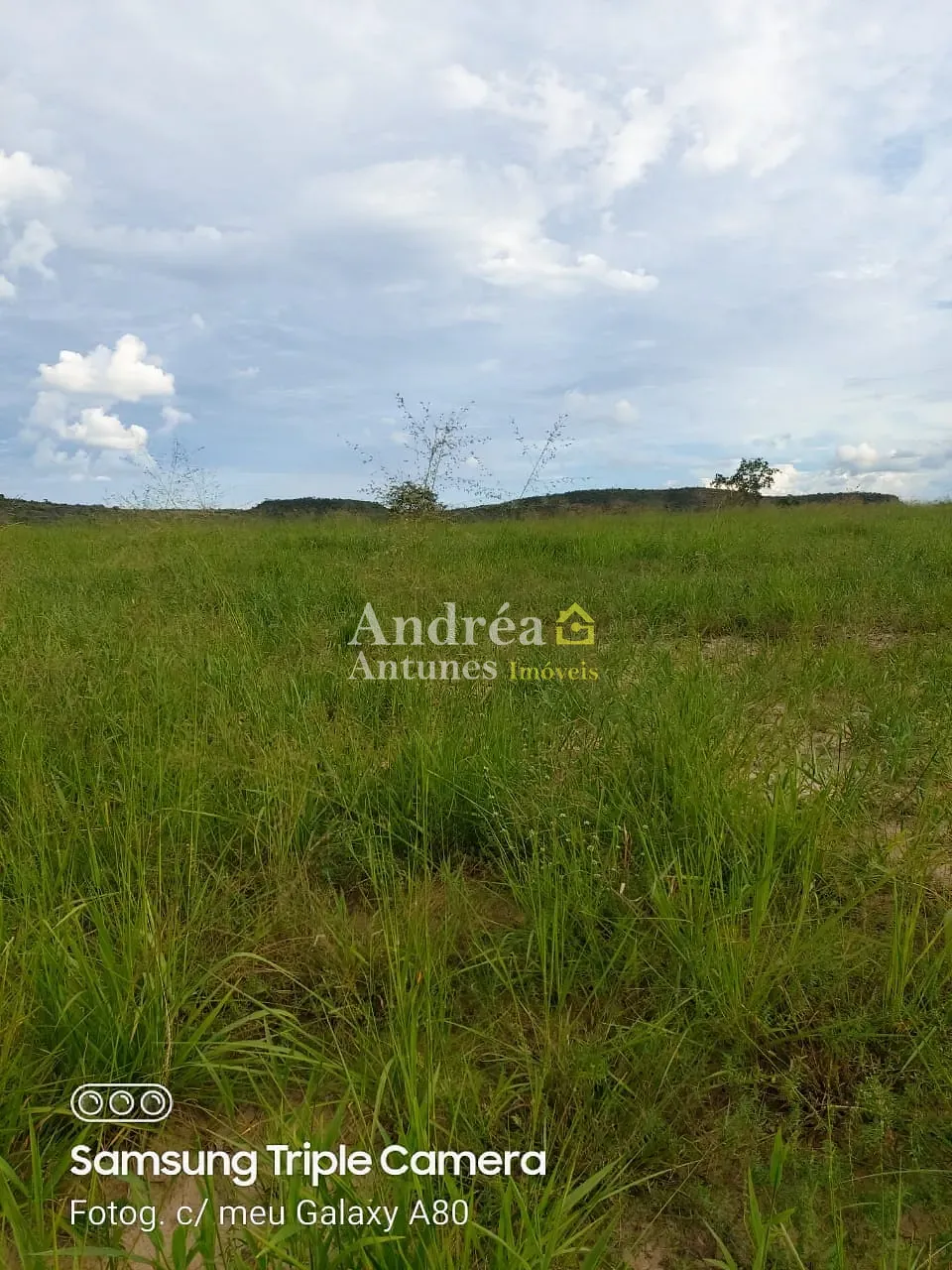 Fazenda, 3060 m² - Foto 22