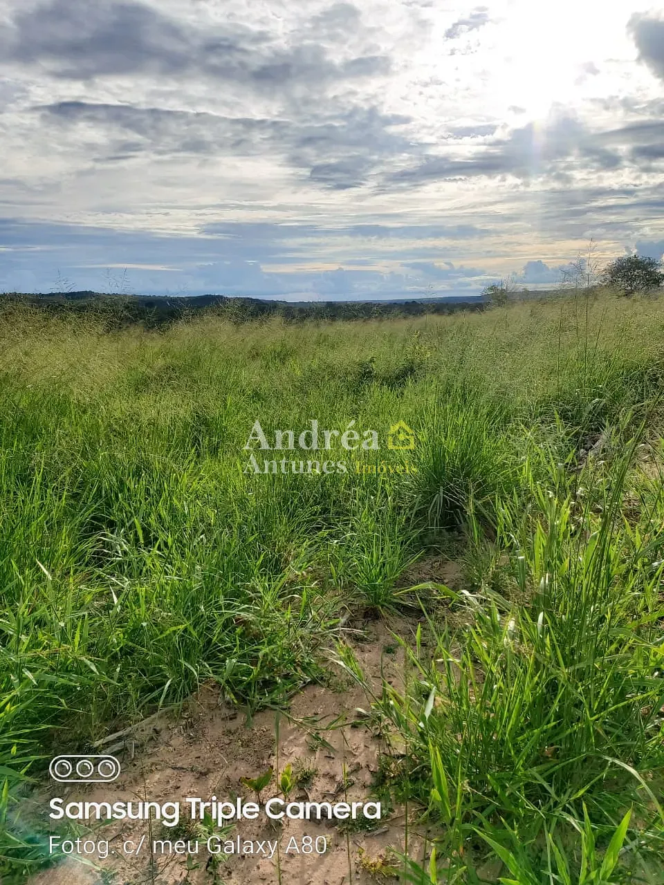 Fazenda, 3060 m² - Foto 4