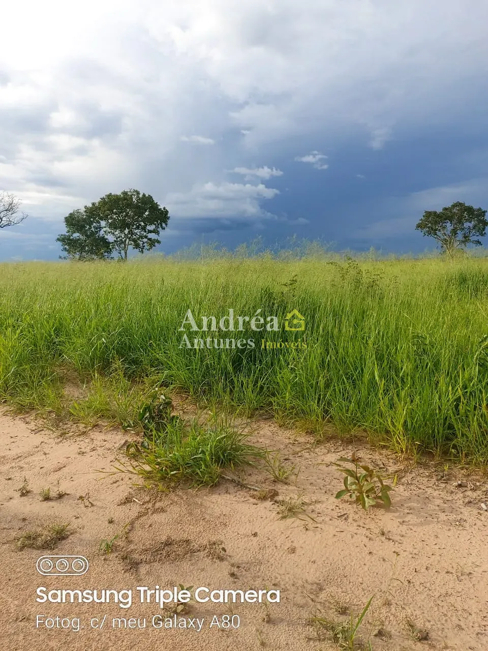 Fazenda, 3060 m² - Foto 13