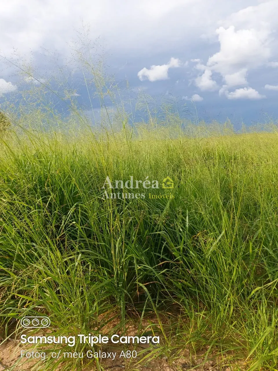 Fazenda, 3060 m² - Foto 2
