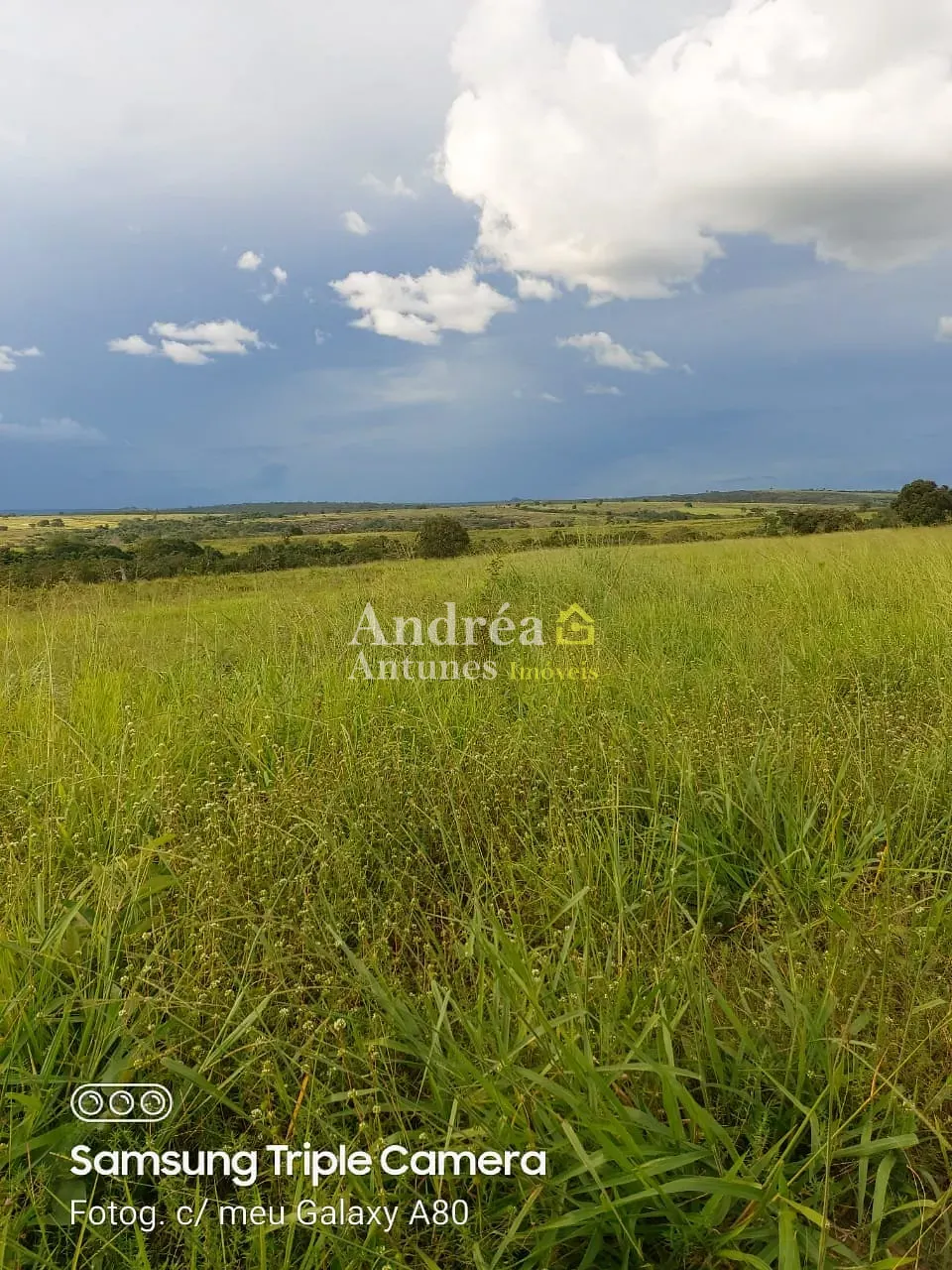 Fazenda, 3060 m² - Foto 14