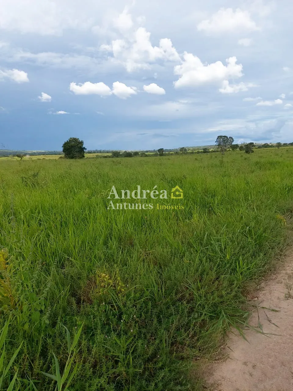 Fazenda, 3060 m² - Foto 15