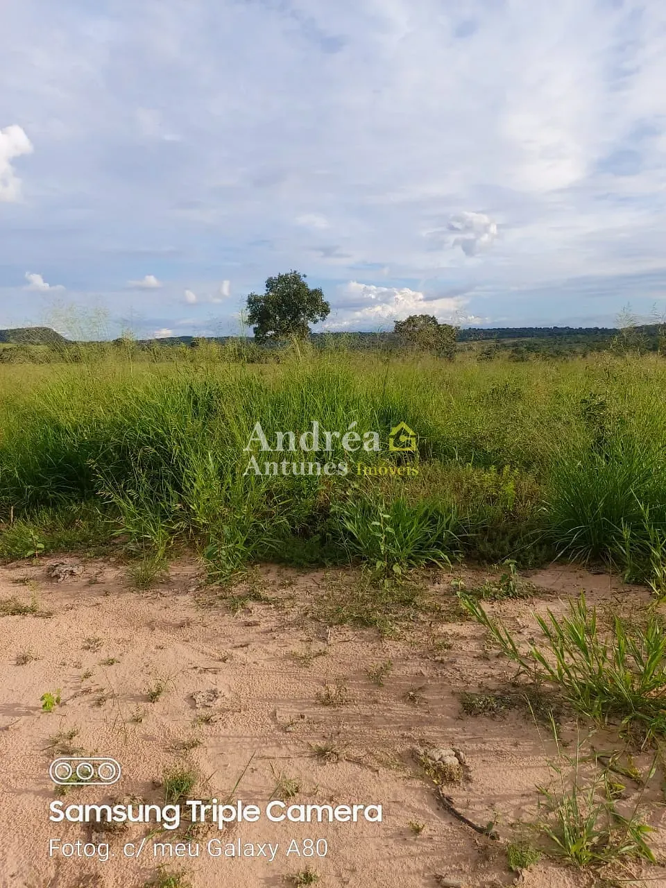 Fazenda, 3060 m² - Foto 11