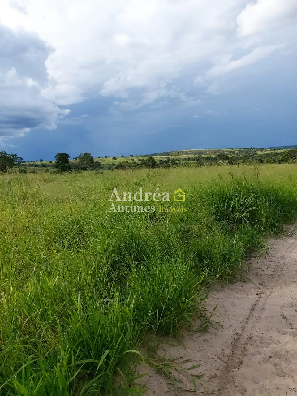 Fazenda, 3060 m² - Foto 18