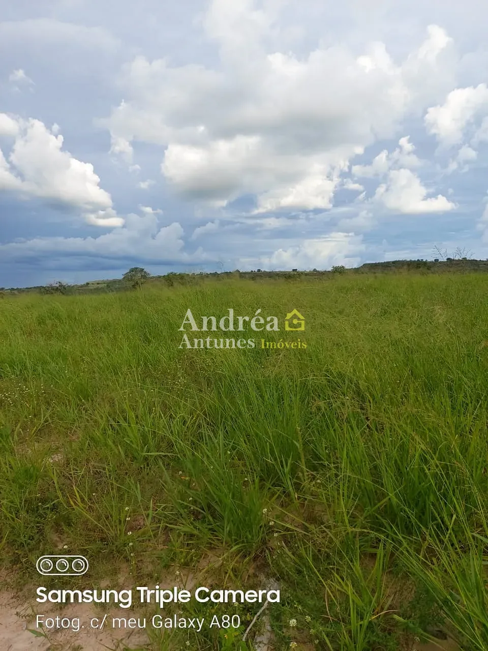 Fazenda, 3060 m² - Foto 19