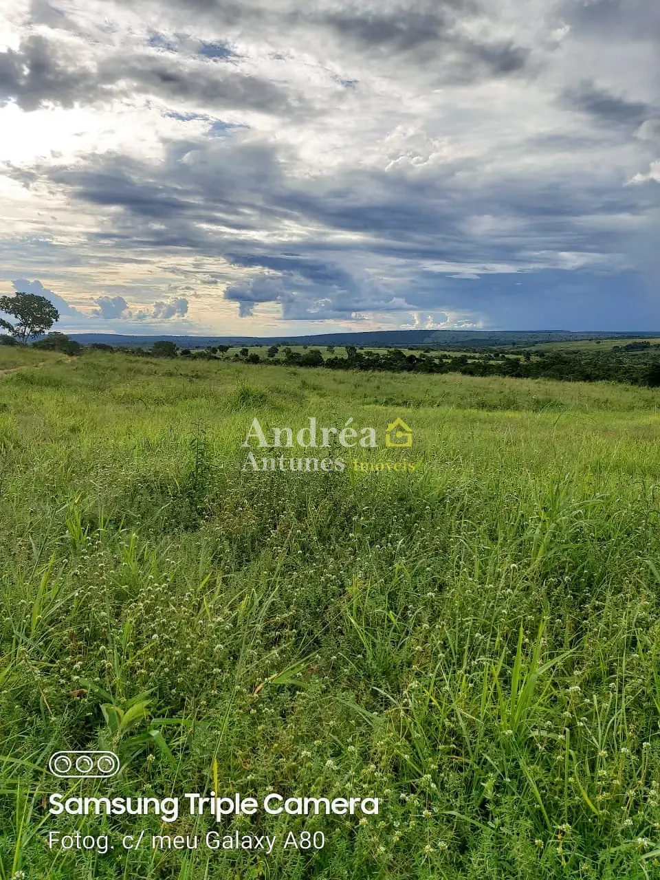 Fazenda, 3060 m² - Foto 3
