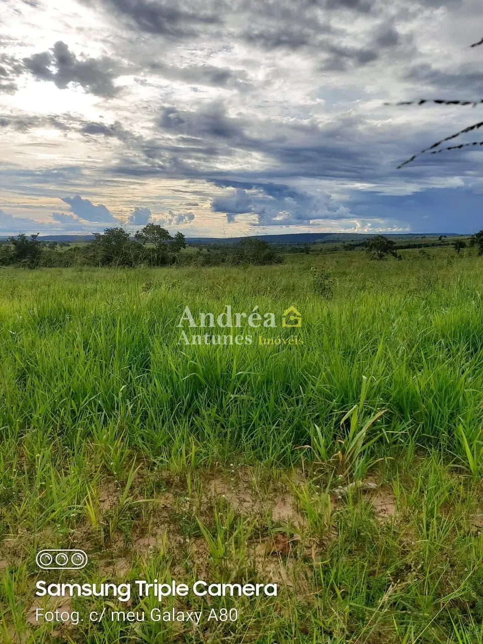 Fazenda, 3060 m² - Foto 7