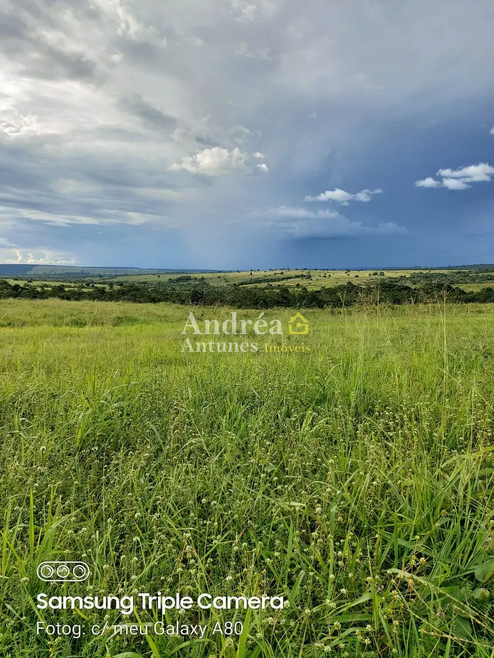 Fazenda, 3060 m² - Foto 6