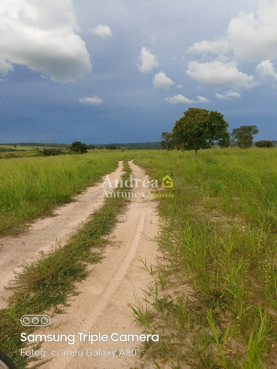 Fazenda, 3060 m² - Foto 16