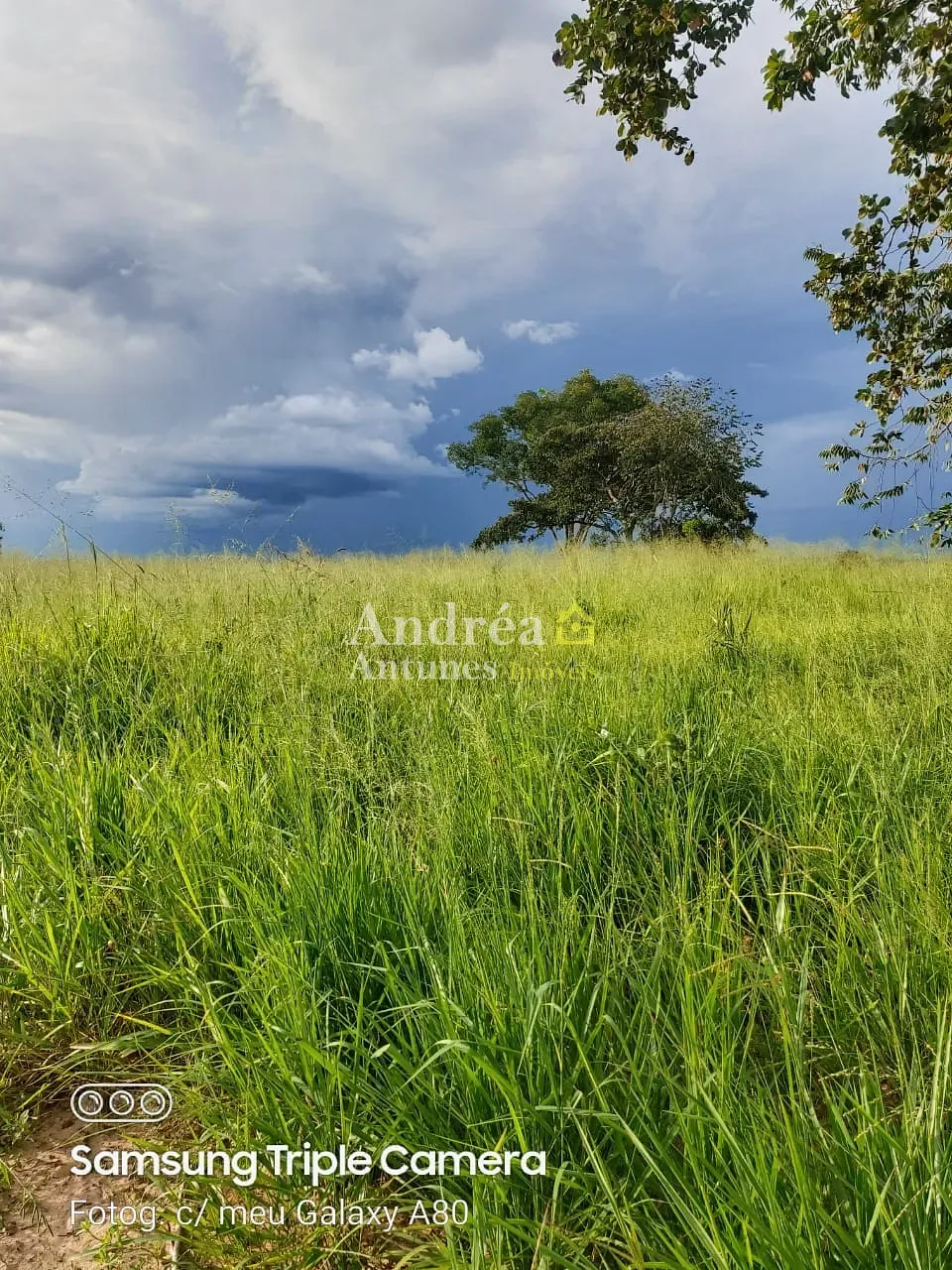 Fazenda, 3060 m² - Foto 1