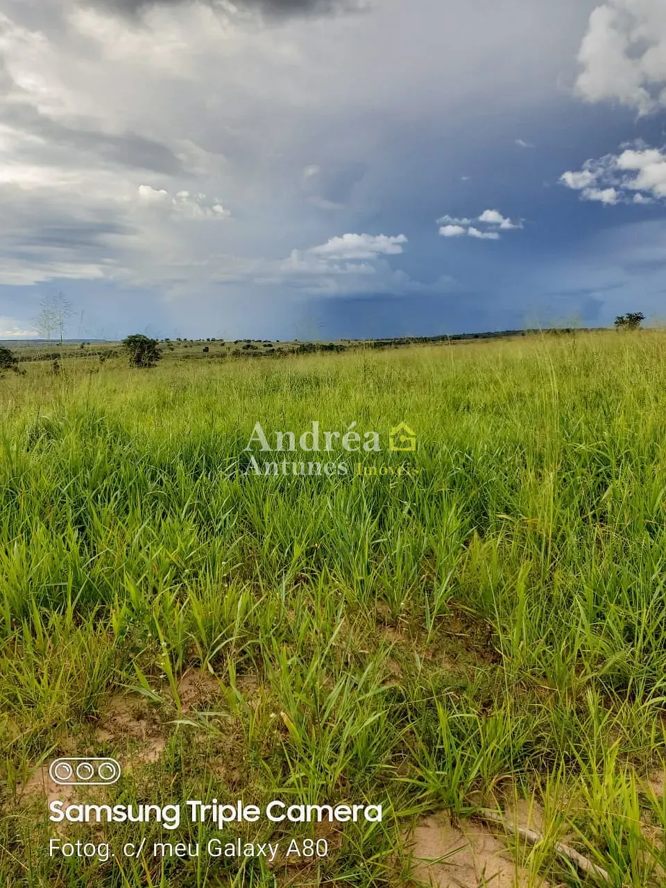 Fazenda, 3060 m² - Foto 5