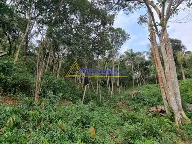 Terreno à venda, no bairro Jardim das Cerejeiras em Arujá