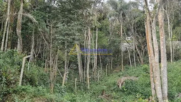 Terreno, 10 m² - Foto 3
